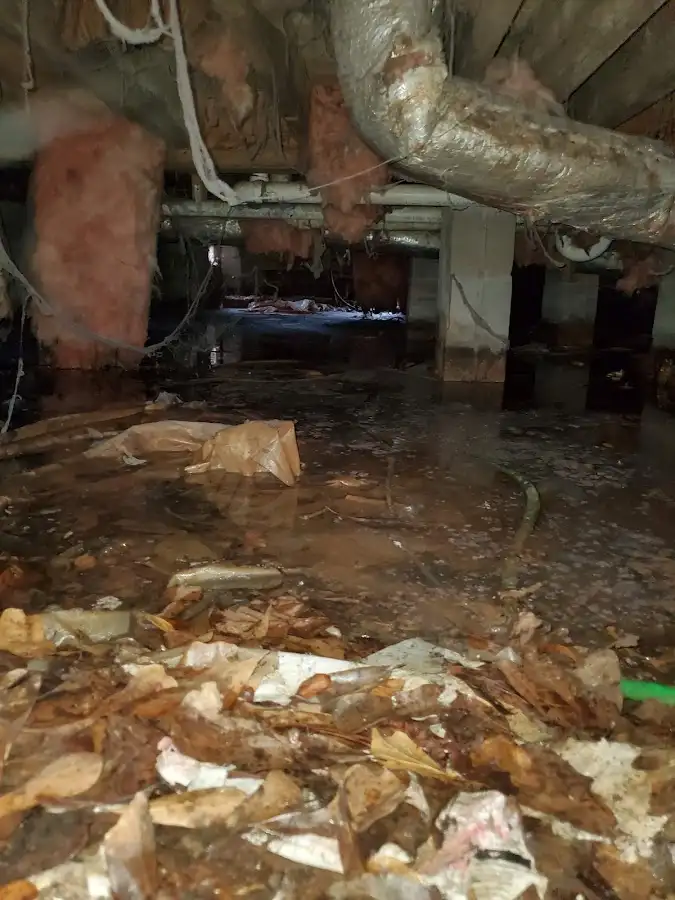 Crawl space flood assessment for Leak Detection & Repair in Hilmar-Irwin